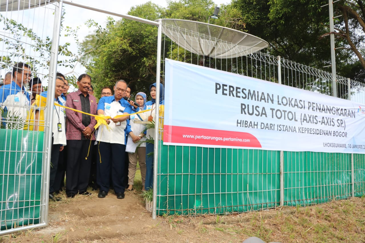 WhatsApp Image 2019-01-10 at 16.11.17