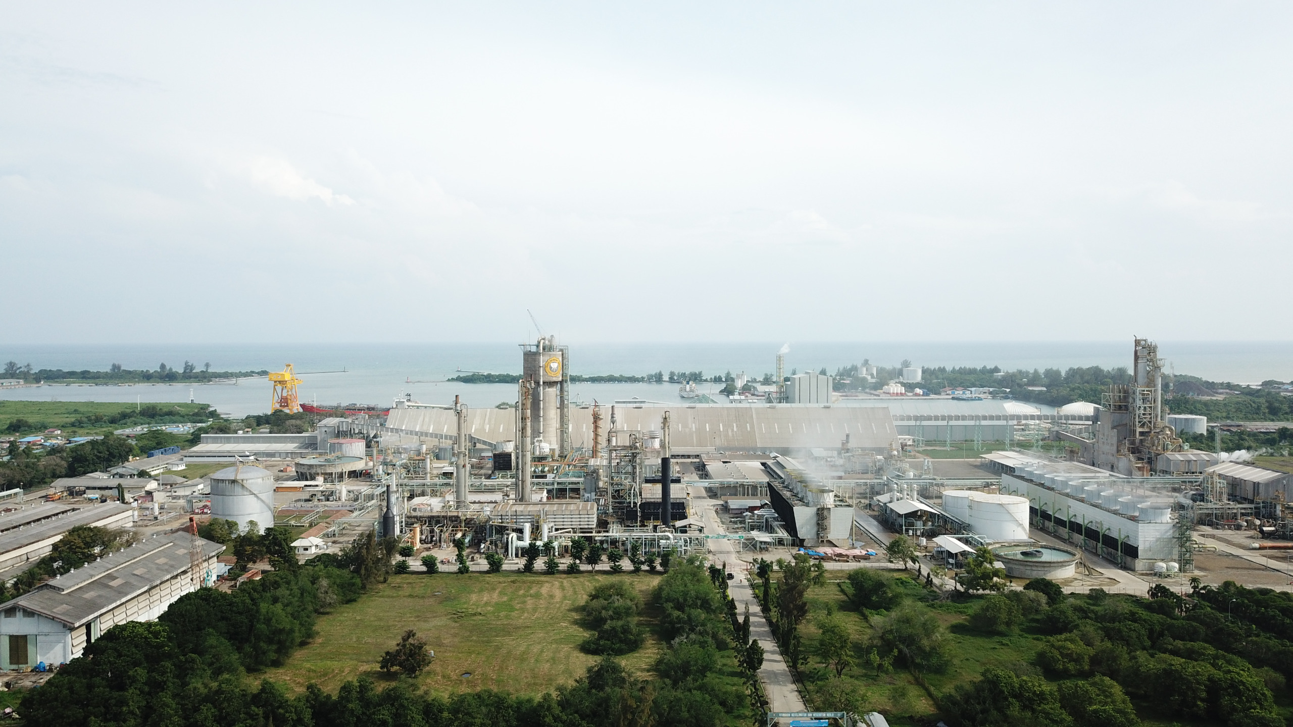 WhatsApp Image 2024-11-11 at 11.38.31